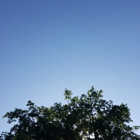 Brand New Day