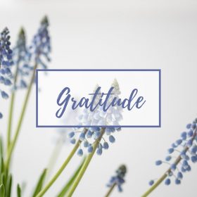 Gratitude- Intuition